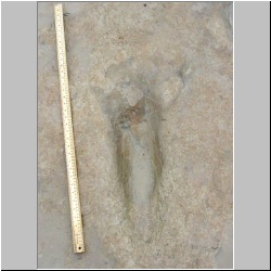 2000b-dsk13-MVC-004F mod.JPG